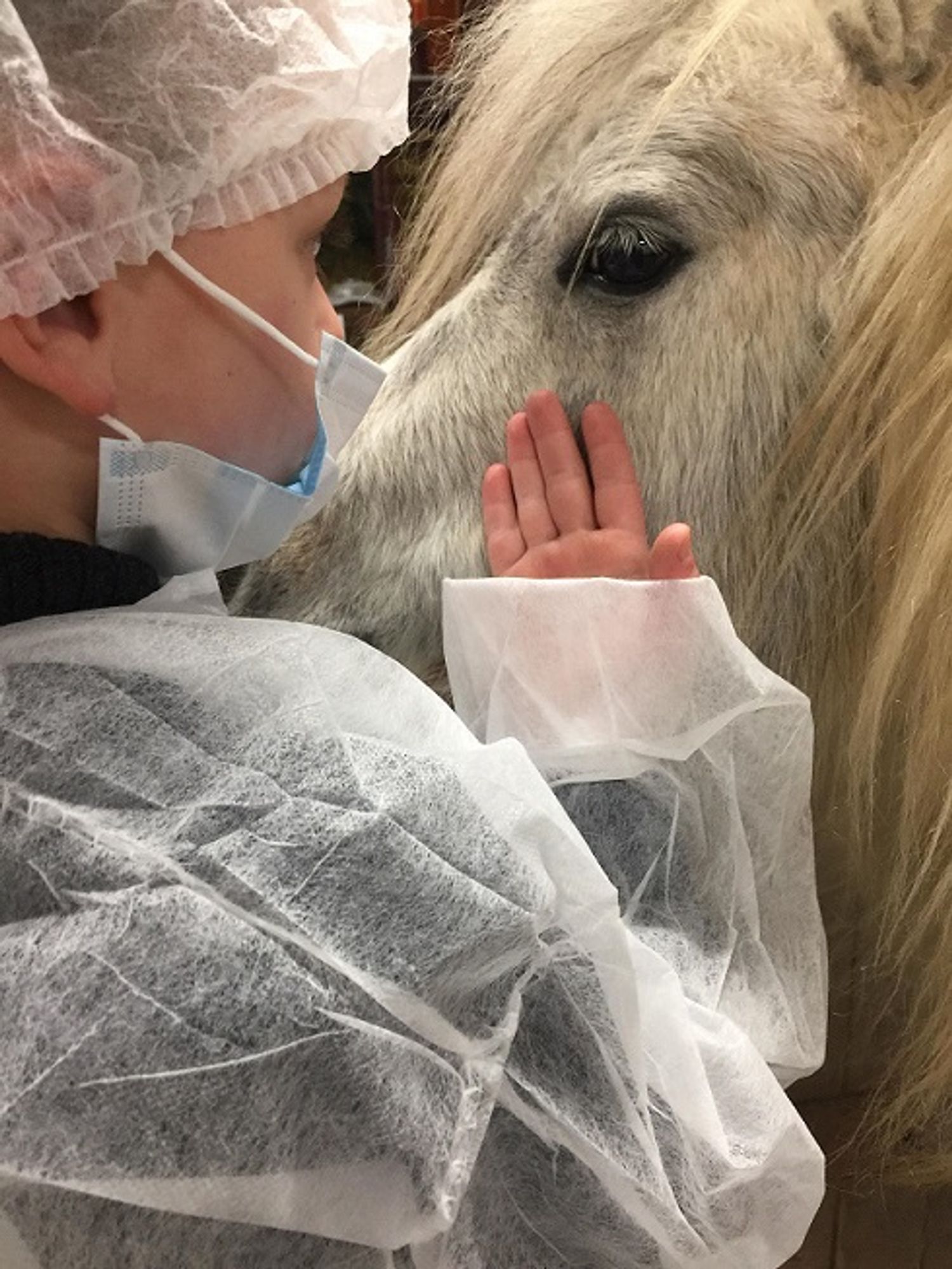 La zoothérapie est une pratique qui consiste à mettre en contact des patients avec des animaux
